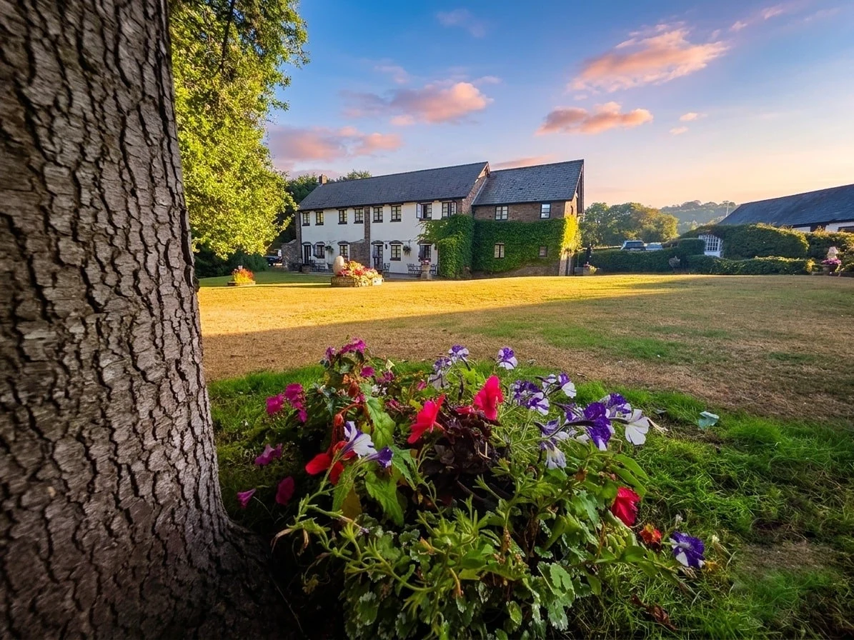 The garden at The Greyhound Inn